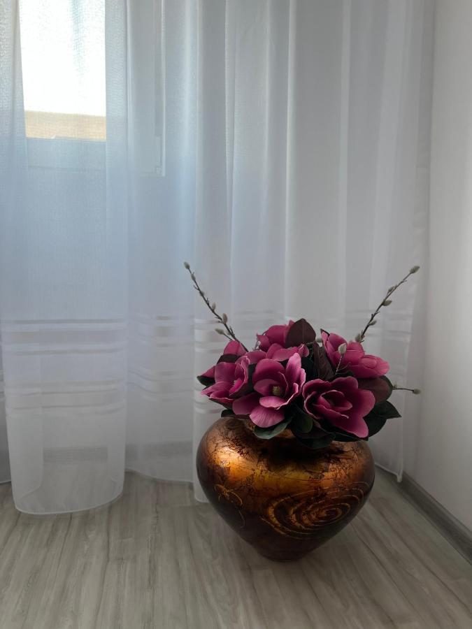 Apartament Tudor 오라데아 외부 사진